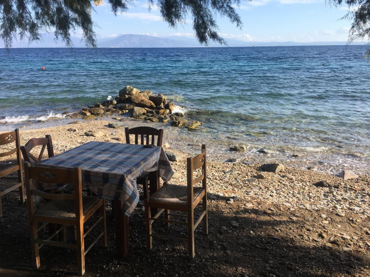 Eratous Seaside House Apartment Varnavas Екстериор снимка